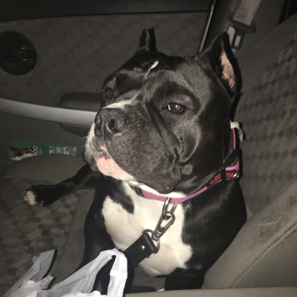 Meet your Posher, Karen - Picture 2 of 2